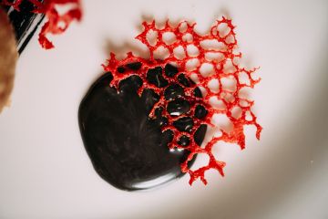 Tentazioni di Gusto, il Ristorante di Badia Nuova - 17