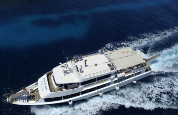 Boat tour from Trapani to discover Favignana and Levanzo - 4